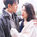 狐狸小姐与猫先生 狐狸小姐与猫先生